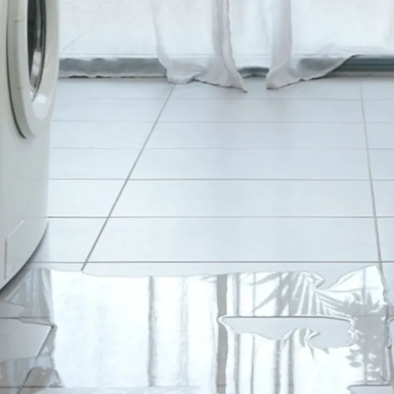 Appliance Leak Cleanup in Van Buren, MO
