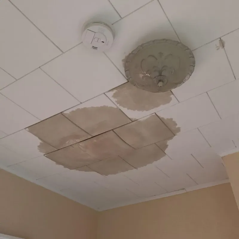Ceiling Water Damage Repair in Van Buren, MO