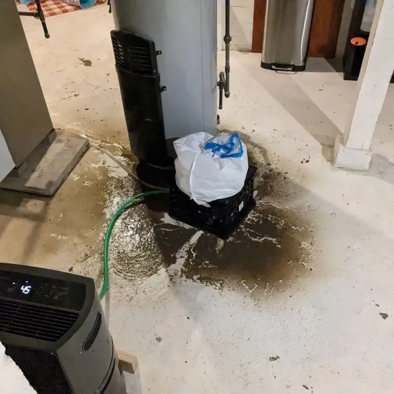 Sewage Backup Cleanup Service in Van Buren, MO